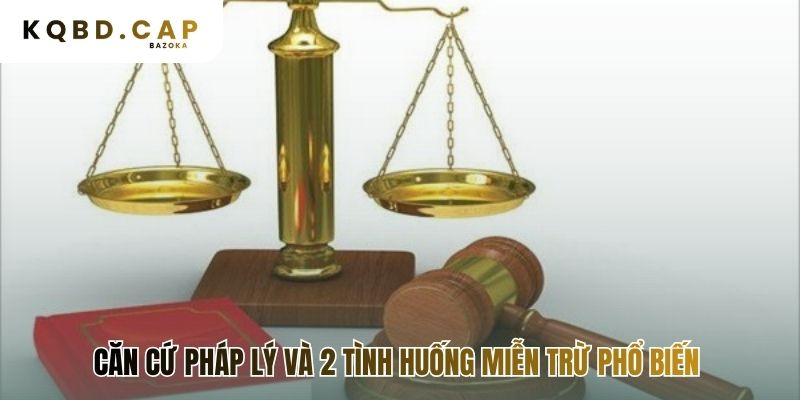 Căn cứ pháp lý làm rõ hai tình huống miễn trừ phổ biến
